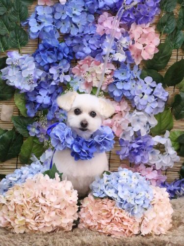 20250628うみちゃん